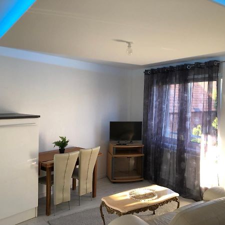 Appartement Willa Chez Willi Niederschaeffolsheim エクステリア 写真