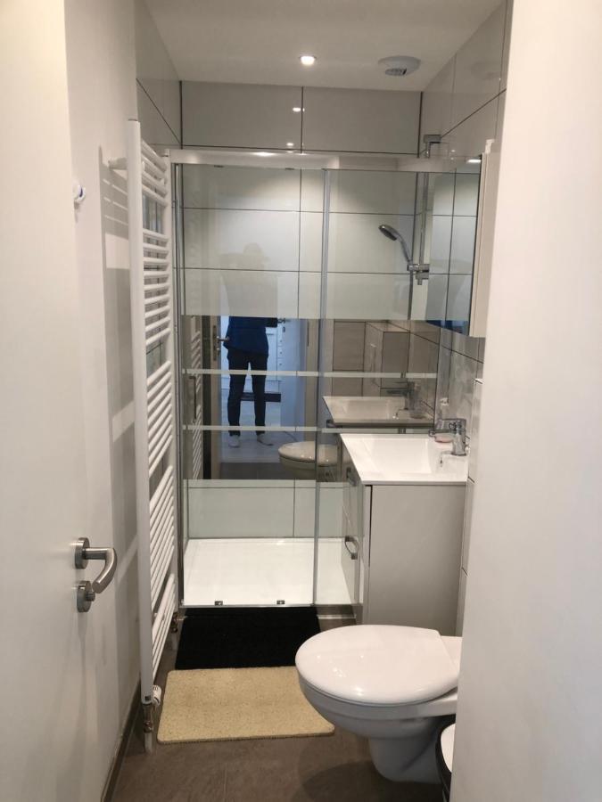 Appartement Willa Chez Willi Niederschaeffolsheim エクステリア 写真