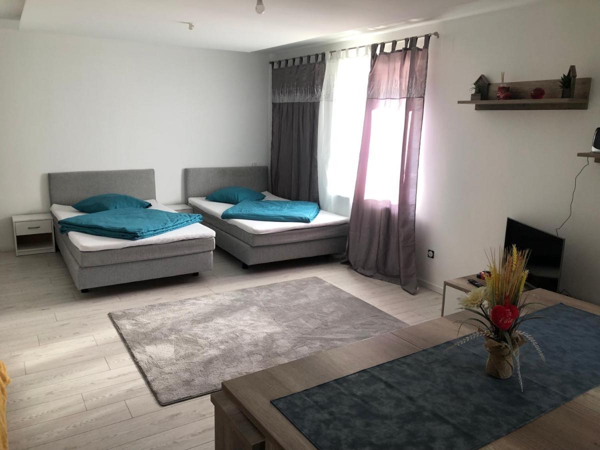 Appartement Willa Chez Willi Niederschaeffolsheim エクステリア 写真